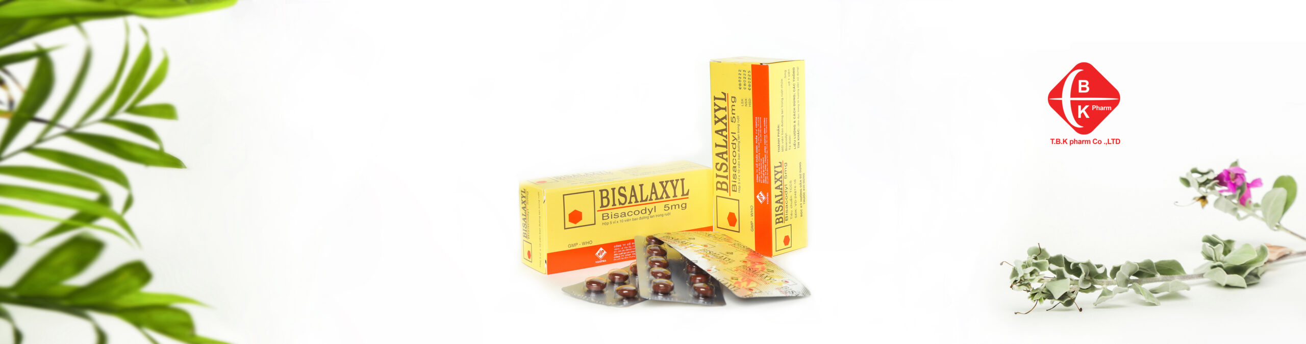 Bisalaxyl 5
